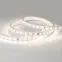 Лента LED герметичная ARL-PV-B54-15.5мм 230V Day4000 (8 W/m, IP65, 5060, 50m) (ARL, -)