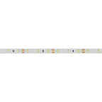 Лента светодиодная RT 2-5000 12V Warm3000 (2835, 300 LED, CRI98) (arlight, 7.2 Вт/м, IP20) | 021406(1) | Arlight