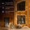 Дюралайт LED, постоянное свечение 2W – тёплый белый, 36 LED/м, 100 м