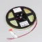 Лента COB-X480-4mm 24V Sky Blue (4 W/m, IP20, 5m) (Arlight, -)