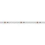 Лента светодиодная RT 2-5000 24V Blue 5mm 2x (3528, 600 LED, LUX) | 015660(1) | Arlight