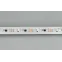 Лента SPI-B60-10мм 12V RGB-PX3 (14.4 W/m, IP20, 5060, 5м) (Открытый, IP20)