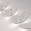 Лента LED MICROLED-M120-8mm 24V Day4000 (14 W/m, IP20, 2216, 5m) (ARL, Открытый)