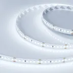 Лента светодиодная RT 2-5000 24V Cool 8K 3x (2835, 840 LED, LUX) | 019092(1) | Arlight