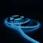 Лента светодиодная LED 5050/60-SMD 14.4 Вт/м 660 лм/м 6500К DC 12В IP20 10мм (блистер 5м) Black Gauss