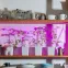 Комплект светодиодной ленты 2м ULS-P76-2835-42LED/m-IP65-2M-SPSB RRP18C00 Спектр для рассады и цветения Адаптер 18Вт Блистер