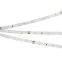 Лента LED RT 2-5000 24V Cool 8K 0.5x (3528, 150 LED, LUX) (ARL, 2.9 Вт/м, IP20)