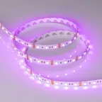 Лента RT-B60-10mm 12V RGB (14.4 W/m, IP20, 5060, 5m) (, Открытый)