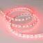 Лента RT-B60-10mm 12V RGB (14.4 W/m, IP20, 5060, 5m) (, Открытый)