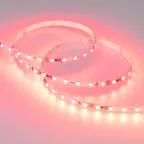 Лента SPI-F72-7mm 24V RGB-PX6 (14.4 W/m, IP20, 3535, 5m)