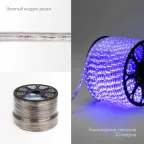 Дюралайт LED, свечение с динамикой 3W - синий, 24 LED/м, 100 м