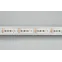Лента RT-G168-10mm 24V RGB (17.3 W/m, IP20, 3838, 5m) (, Открытый)