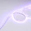 Лента RT-G168-10mm 24V RGB (17.3 W/m, IP20, 3838, 5m) (, Открытый)