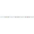 Лента RS-S120-8mm 24V Day5000 (9.6 W/m, IP20, 3014, 5m) (Arlight, боковое свечение)