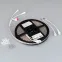 Лента герметичная SPI-P-B60-12мм 12V RGB-PX1-BPT (8 W/m, IP66, 5060, 5м) (бегущий огонь)