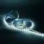 Лента светодиодная Basic LED 5050/60 12V 10W/m 700lm/m 4000K 10mm IP20 1m 1/100 | BT034 | Gauss