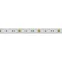 Лента светодиодная герметичная RTW-PGS-B60-13mm 12V Yellow (14.4 W/m, IP67, 5060, 5m) (Arlight, -) | 012306(2) | Arlight