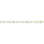 Лента MICROLED-M280-8мм 24V Day-MIX (16.5 W/m, IP20, 2216, 5м) (Изменяемая ЦТ)