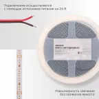 Лента светодиодная 24В COB 8Вт/м 320LED/м синий 8мм 5м IP20