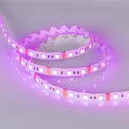Лента LED RTW 2-5000SE 12V RGB 2x (5060, 300 LED, LUX) (ARL, 14.4 Вт/м, IP65)