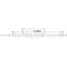 Гибкий Неон LED  - ТЕПЛЫЙ БЕЛЫЙ, бухта 50м | 131-016 | NEON-NIGHT