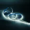 Лента светодиодная LED 5050/60-SMD 8 Вт/м 900 лм/м 4000К DC 12В IP20 10мм (блистер 5м) Basic Gauss