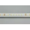 Лента LED RT 2-5000-50m 24V Warm2700 (2835, 80 LED/m, LUX) (ARL, 6 Вт/м, IP20)