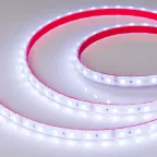 Лента LED герметичная RTW-PS-B60-12mm 24V RGB (14.4 W/m, IP67, 5060, 5m) (ARL, -)