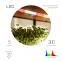 Светодиодная лента для растений полного спектра 5м IP65 с адаптером 12В FITO-Strip Light-Rа90-300LED-5m-12V-IP65 ЭРА