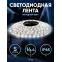 Лента светодиодная LS5050-14,4-60-12-6500K-IP65-1 year-5m | C0043047 | ЭРА