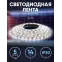 Лента светодиодная LS5050-14,4-60-12-6500K-IP20-1 year-5m | C0043045 | ЭРА