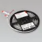 Лента RT-B60-10mm 24V Red (14.4 W/m, IP20, 5060, 5m) (, Открытый)