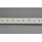 Лента IC2-A120-12mm 24V White6000 (9.6W/m, IP20, 2835, 20m) (, 9.6 Вт/м, IP20)