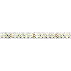 Лента светодиодная RT 2-5000 24V White6000 2x2 (3528, 1200 LED, LUX) | 008771(B) | Arlight