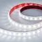 Лента герметичная FLT-PS-A42-23мм 24V White6000 (21 W/m, IP67, 30deg, 5м) (-)
