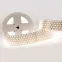 Лента светодиодная RT 2-2500 24V White6000 5x2 (2835, 875 LED, LUX) (ARL, 36 Вт/м, IP20)   | 019082(B) |  Arlight