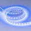 Лента RT-B60-10mm 12V Blue (14.4 W/m, IP20, 5060, 5m) (Arlight, Открытый)