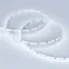 Лента LED MICROLED-5000 24V Cool 8K 4мм (2216, 120 LED/m, LUX) (ARL, 9.6 Вт/м, IP20)