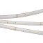 Лента светодиодная RTW 2-5000PS-50m 24V Cool 8K (2835, 80 LED/m, LUX) (arlight, 6 Вт/м, IP67) | 028532 | Arlight