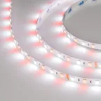 Лента LED RT-B60-10мм 24V RGBW-White (14.4 W/m, IP20, 5060, 5м) (ARL, Открытый)