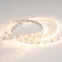 Лента светодиодная RT 2-5000 12V Warm2700 (3528, 300 LED, LUX) | 010597(B) | Arlight