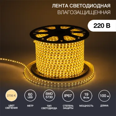 Лента LED уличная 220В, 6.5x13мм, IP67, SMD 5730, 60 LED/м, Теплый белый, 100м