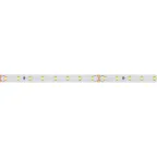Лента RT-A80-8mm 24V Warm2700 (6 W/m, IP20, 2835, 50m) (Arlight, 6 Вт/м, IP20)