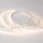Лента светодиодная RT 2-5000 24V Warm2700 2x (3528, 600 LED, CRI98) | 021417(B) | Arlight
