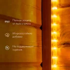 Дюралайт LED, постоянное свечение 2W - белый Эконом 24 LED/м, 100 м