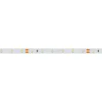 Лента светодиодная RT 2-5000-50m 24V Day4000 (3528, 60 LED/m, LUX) | 024583(1) | Arlight