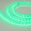 Лента светодиодная герметичная RTW-PU-B60-12.5mm 24V RGB (14.4 W/m, IP68, 5060, 5m) (arlight, -) | 029515(2) | Arlight