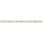 Лента UL-A160-8мм 24V White6000 (12 W/m, IP20, 2835, 5м) (7 лет)