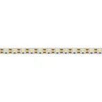 Лента светодиодная RT 2-5000 12V Cx1 Warm3000 2x (5060, 360 LED, CRI98) | 021473(1) | Arlight