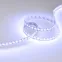 Лента светодиодная RT-GM288-12mm 24V RGBW-MIX (19.2 W/m, IP20, 3838/2216, 5m) (arlight, Открытый) | 028258(2) | Arlight